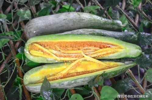 网红吃长瓜,趣味横生引网友热议 第1张 网红吃长瓜,趣味横生引网友热议 第1张